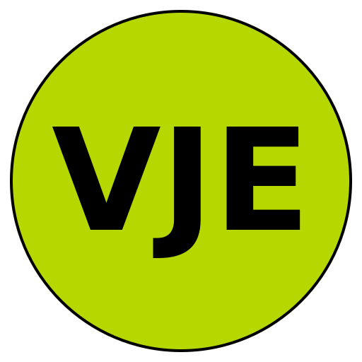 ValueJourney Experts